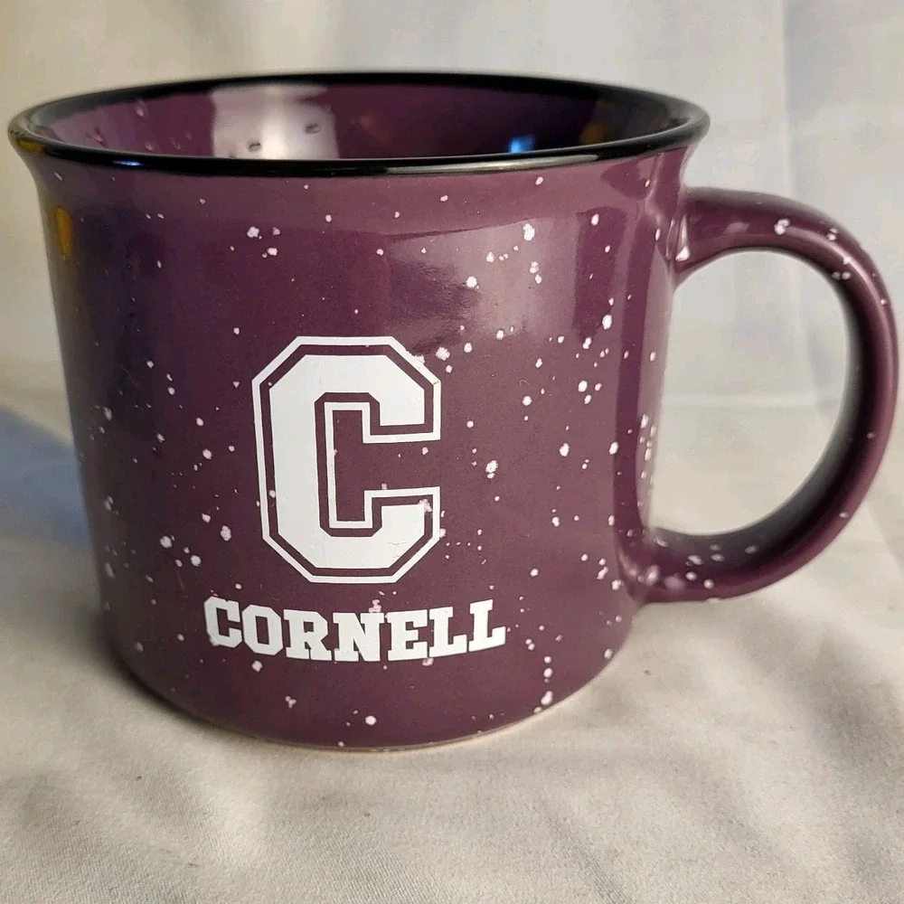 Cornell 16oz Ceramic Purple Speckled Coffee Mug